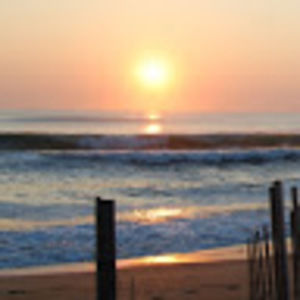 Meet your Posher, Collin